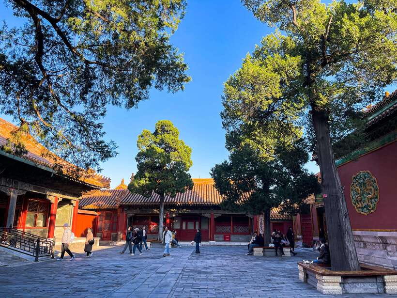 Beijing:Temple of Heaven+Forbidden City Private City Tour - Key highlights that make this tour worth your time