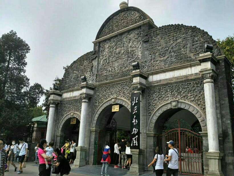 Beijing: The Beijing Zoo Entry Ticket with Pandas - Why Beijing Zoo Fits 3 Hours (and still feels like a full day)
