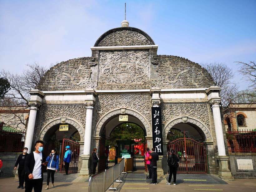 Beijing: The Beijing Zoo Entry Ticket with Pandas - Size, Crowds, and What Helps You Enjoy It