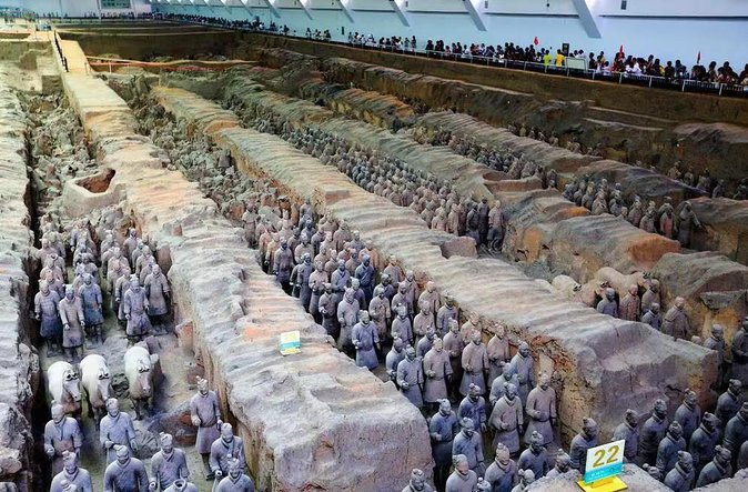 Beijing to Xi'an See Terracotta Warriors with Bullet Train Round Trip Transfer - Private bullet train logistics that actually work