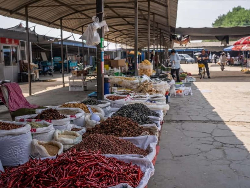 Beijing: Vegan Home Cooking & Local Market Tour with Sanxia - The Organic Market Hunt: What You Pick Shapes the Whole Menu