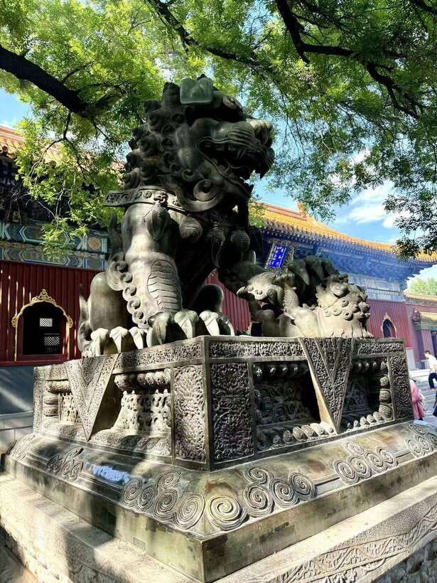 Beijing: Yonghe Lama Temple Entry Ticket - Comfort, Access, and Who This Fits Best