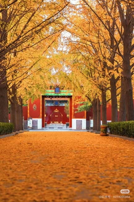 Beijing: Yonghe Lama Temple Tickets with guide (optional) - Opening hours you must respect, last admission and stop-entering