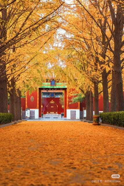Beijing: Yonghe Lama Temple Tickets with guide (optional) - The temple layout, how the walk works from south to north
