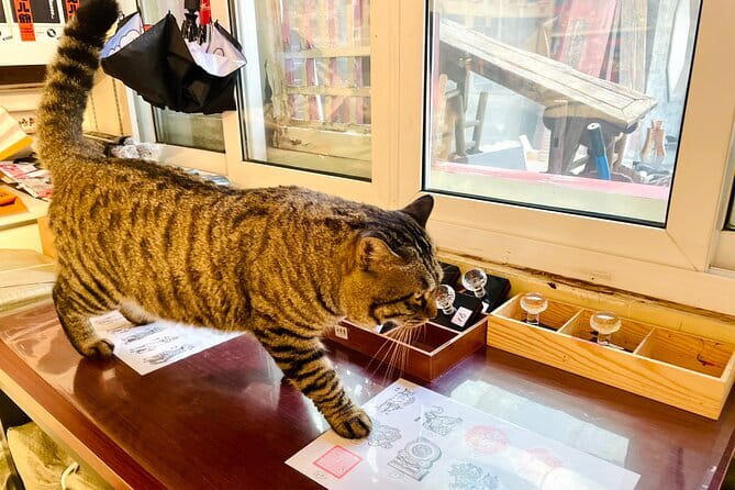 Bite and Stroll: Brunch Tour in Old Town Beijing! - The tea house finish at Wusi Avenue, plus browsing time