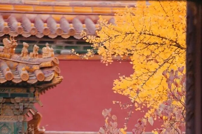 Explore Beijing with camera--City Walk tour with Professional photography guide - What Linda Wang and the Photo Guide Add to Your Day