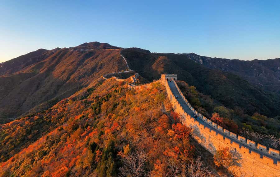 Forbidden City & Mutianyu Great Wall Small Group Day Tour - No Shopping Stops, No Detours: Why That Changes the Whole Feeling