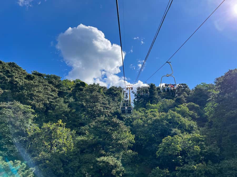 Forbidden City & Mutianyu Great Wall Small Group Day Tour - Small-Group Guidance and Real Support From Named Guides