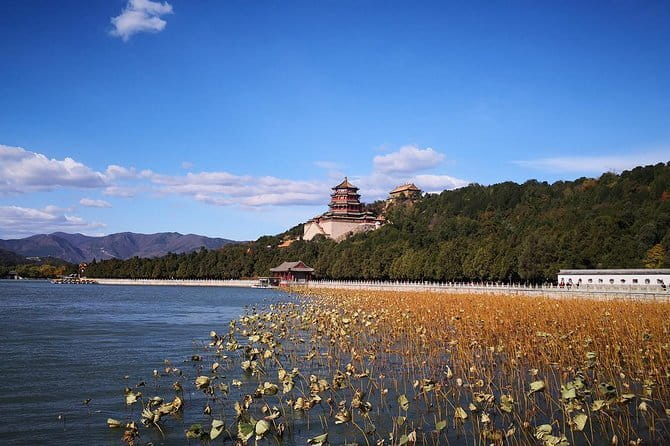 Forbidden City Ticket Booking - Inside the Palace Museum: How to Pace Without Missing the Point