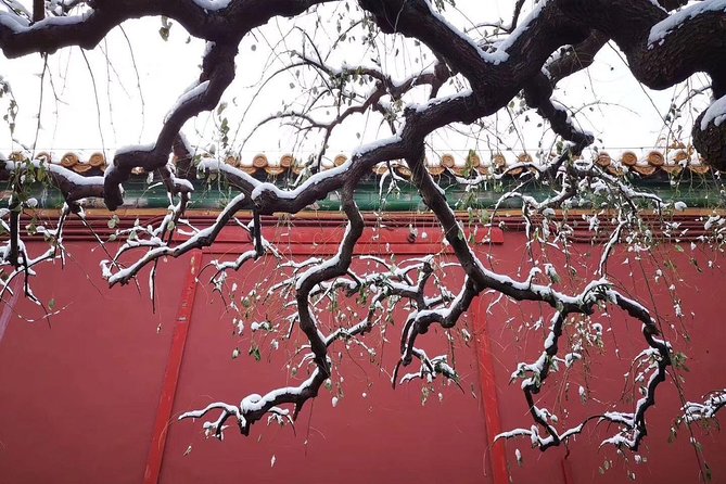 Four Days Beijing Shanghai Best Classic Quality Private Tour - Olympic Park snapshots and a Beijing duck dinner to close the day