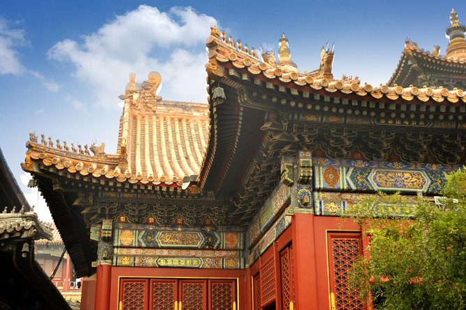 Full-Day Beijing City Tour: Hutongs, Lama Temple and Panda House - Olympic Park photo time at Water Cube and Bird’s Nest