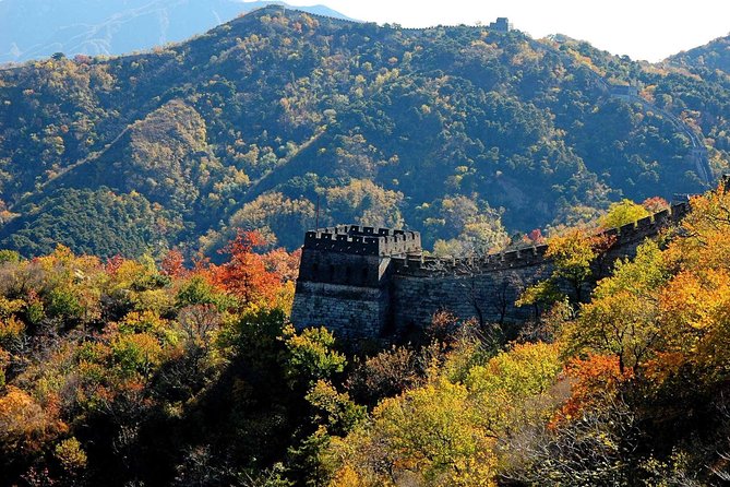Great Wall of China at Mutianyu Full-Day Tour Including Lunch from Beijing - Timing on the Wall: Great for Most People, Tight for Big Gamers