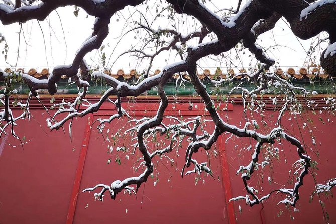 Half Day Beijing Group Tour to Tiananmen Square and Forbidden City - Tea ceremony and silk factory stop, why it belongs in the route