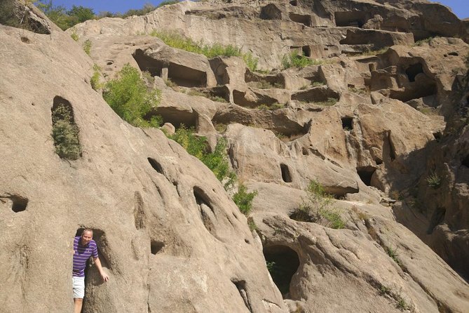 Longqingxia Gorge Cruise and Guyaju Cave Dwellings Private Day Tour - Lunch at a farmer’s house, what to expect and how to request vegetarian