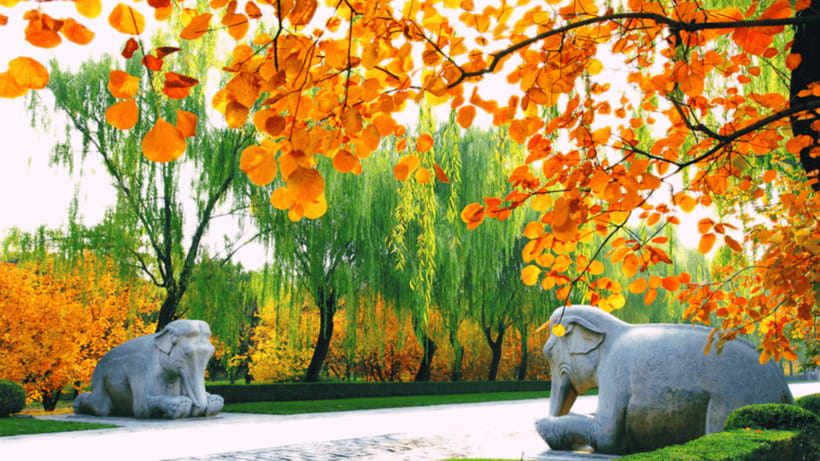 Ming Tombs Admission Ticket - Changling for Emperor Yongle: The Grandest Tomb Stop