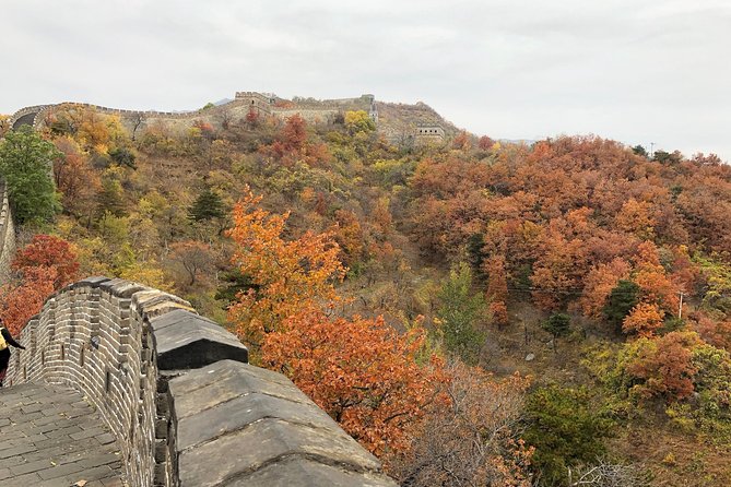 Private Beijing Layover Tour to Mutianyu Great Wall and Forbidden City - Airport timing, meetings, and how delays get handled