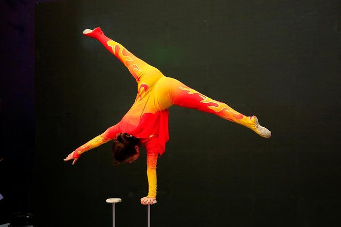 Private Beijing Night Tour: Acrobatic Show and Peking Duck Dinner - Price and value: what you are really paying for at $168