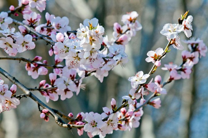 Private Customized Beijing Garden Tour - Key things to know before you go