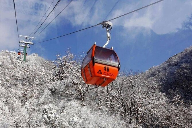 Private Day Tour to Beijing Mutianyu Great Wall - Timing, Comfort, and What to Plan Before You Go
