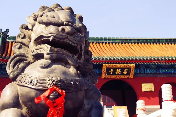 Private Day Tour to Shaolin Temple from Beijing by Bullet Train with Kungfu Show - Beijing West to Zhengzhou: What the Train Portion Feels Like