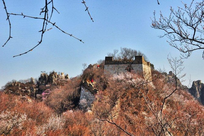 Private Day Trip to Juyongguan, Badaling and Ancient Great Wall from Beijing - 7:30 AM Pickup and Private Vehicle: Why “Private” Matters Here