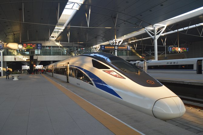 Private Day Trip to Terracotta Army from Beijing by Bullet Train - Hotel pickup and name-signed meeting in Xian