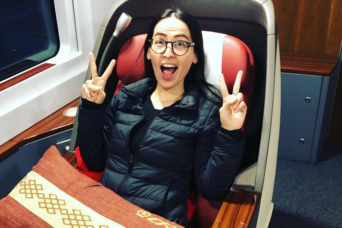 Private Day Trip to Terracotta Army from Beijing by Bullet Train - Lunch in Xian, planned so you do not lose the afternoon