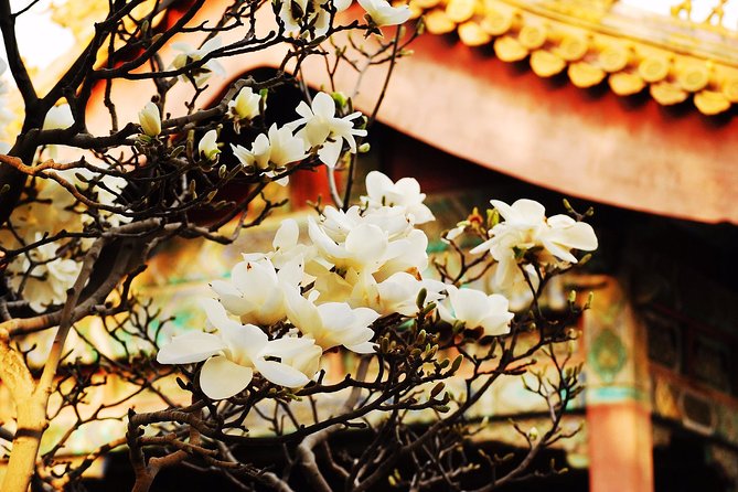 Private Flexible Beijing City In-Depth Walking Tour w/ Your Fancy - Hotel Pickup, Private Guide, and How You Stay in Control