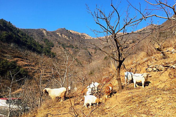 Private Great Wall Hiking Tour: Across The Border of 3 China Provinces - Private guiding, and why guides Peter and Jason matter