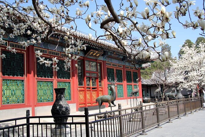 Private Half-day In-depth Walking Tour of Summer Palace - Demi Beijing Private Tours and the guide factor you should care about