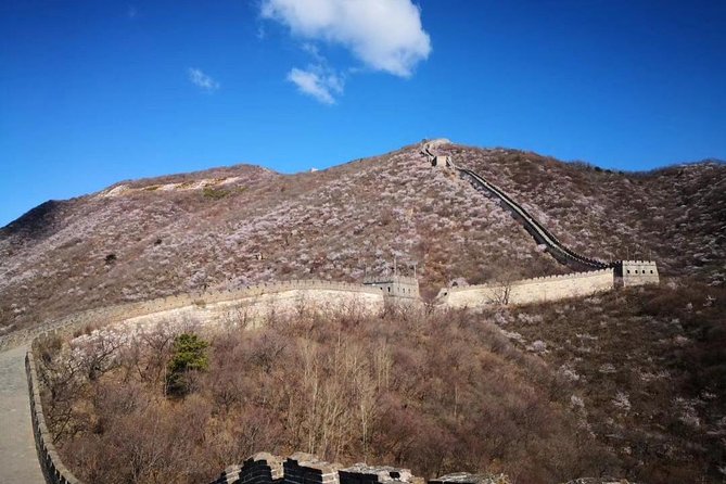 Private Layover Tour to Mutianyu Great Wall and Forbidden City - Lunch at a local restaurant: dumplings that keep the day moving