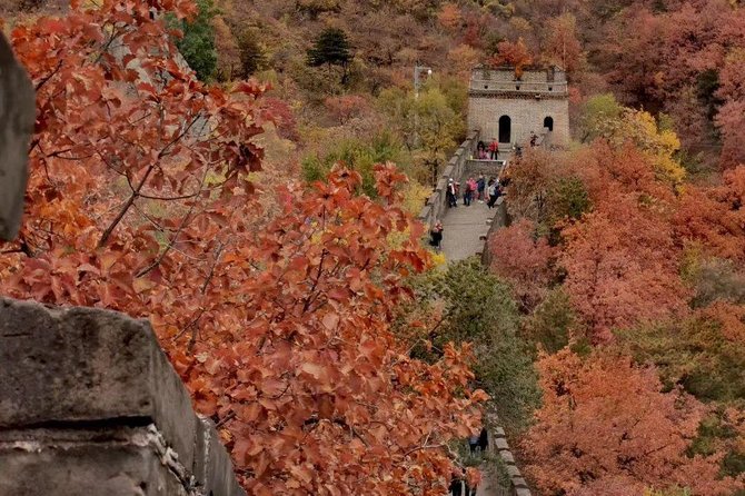 Private Tour: Forbidden City and Mutianyu Great Wall with Cable Car or Toboggan - The 7:00 am Start: How the Day Feels in Motion