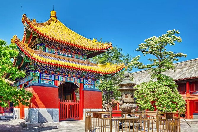 Private Tour to Lama Temple, Tian'anmen Square and Forbidden City - Key Points Before You Go