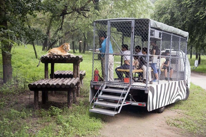Private Transfer to Beijing Wildlife Park with Self-driving Ride Inside - Beijing Wildlife Park is a great “leave the city” day