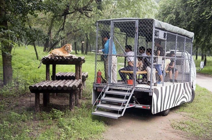 Private Transfer to Beijing Wildlife Park with Self-driving Ride Inside - A few drawbacks and questions to ask yourself first