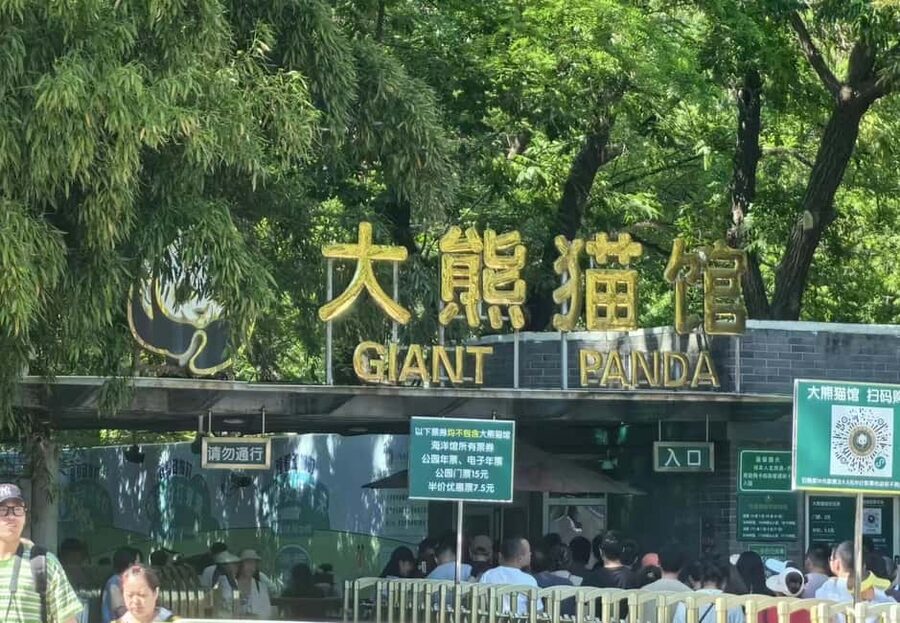 Private Trip to Great Wall+Summer Palace with English Driver - Lunch, Snacks, and Photo Time: How to Use Your Independent Hours