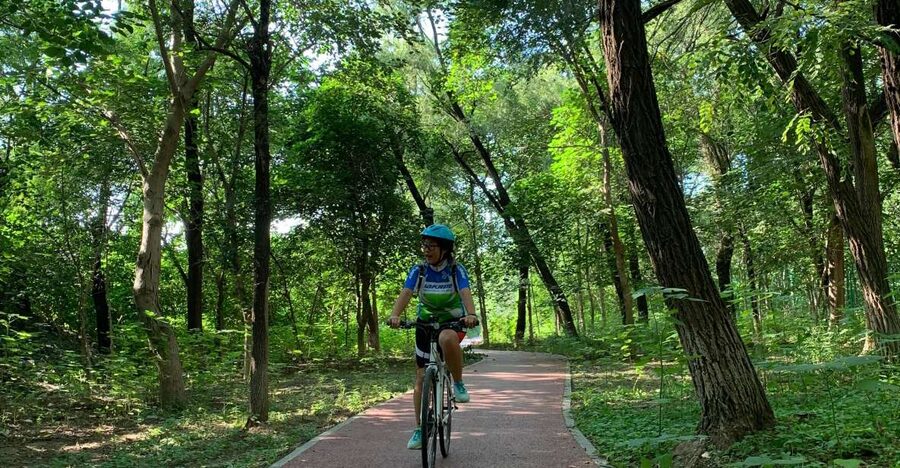 Riverside Cycling With A Native - Phones, helmets, and small group rhythm in Beijing