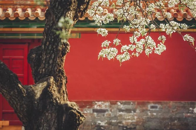 Small Group Beijing Layover Tour to Mutianyu Great Wall and Forbidden City - Why this Beijing layover tour feels like value, not a sprint