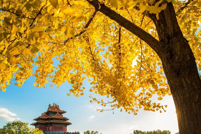 Small Group Beijing Layover Tour to Mutianyu Great Wall and Forbidden City - Mutianyu Great Wall: towers, views, and how to save your legs