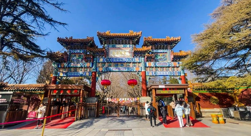 Summer Palace, Hutongs and Temple of Heaven Tour - Lunch: included local bites, plus choices depending on your appetite