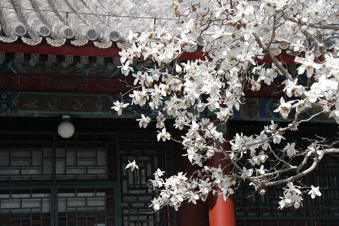 Summer Palace Ticket with optional Guided Tour - Price and What Your $8 Entrance Ticket Really Includes