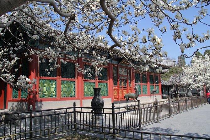 Summer Palace Ticket with optional Guided Tour - Meeting Point, Timing, and the Small-Group Advantage