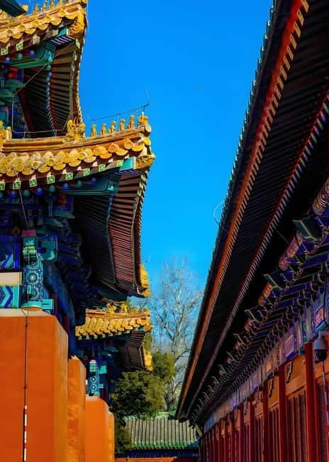 Tickets to all Beijing attractions (Forbidden City optional) - Ticket reality check: QR code, passport details, and weather