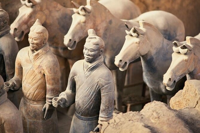 Xi'an Day Tour: Terra-Cotta Warriors & Horses from Beijing by Air - 6:00 AM Pickup to Beijing Quiet Time, Then the Temple Circuit
