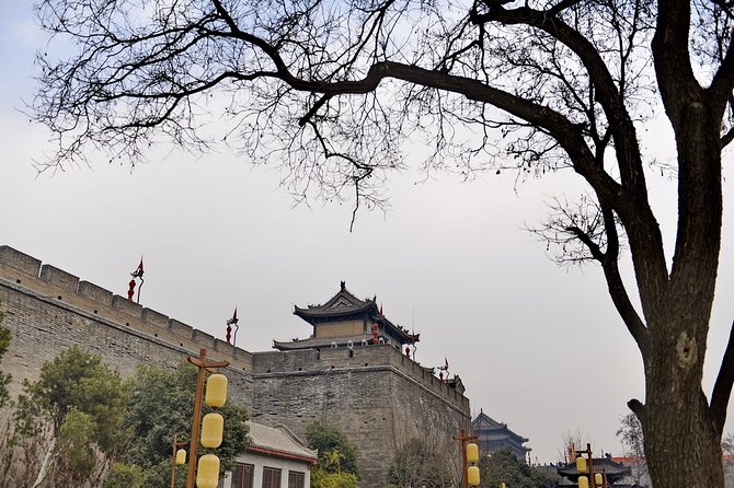 Xi'an Private Day Tour from Beijing with Deluxe Soft Sleeper Train Experience - Why the soft sleeper setup makes this trip feel efficient